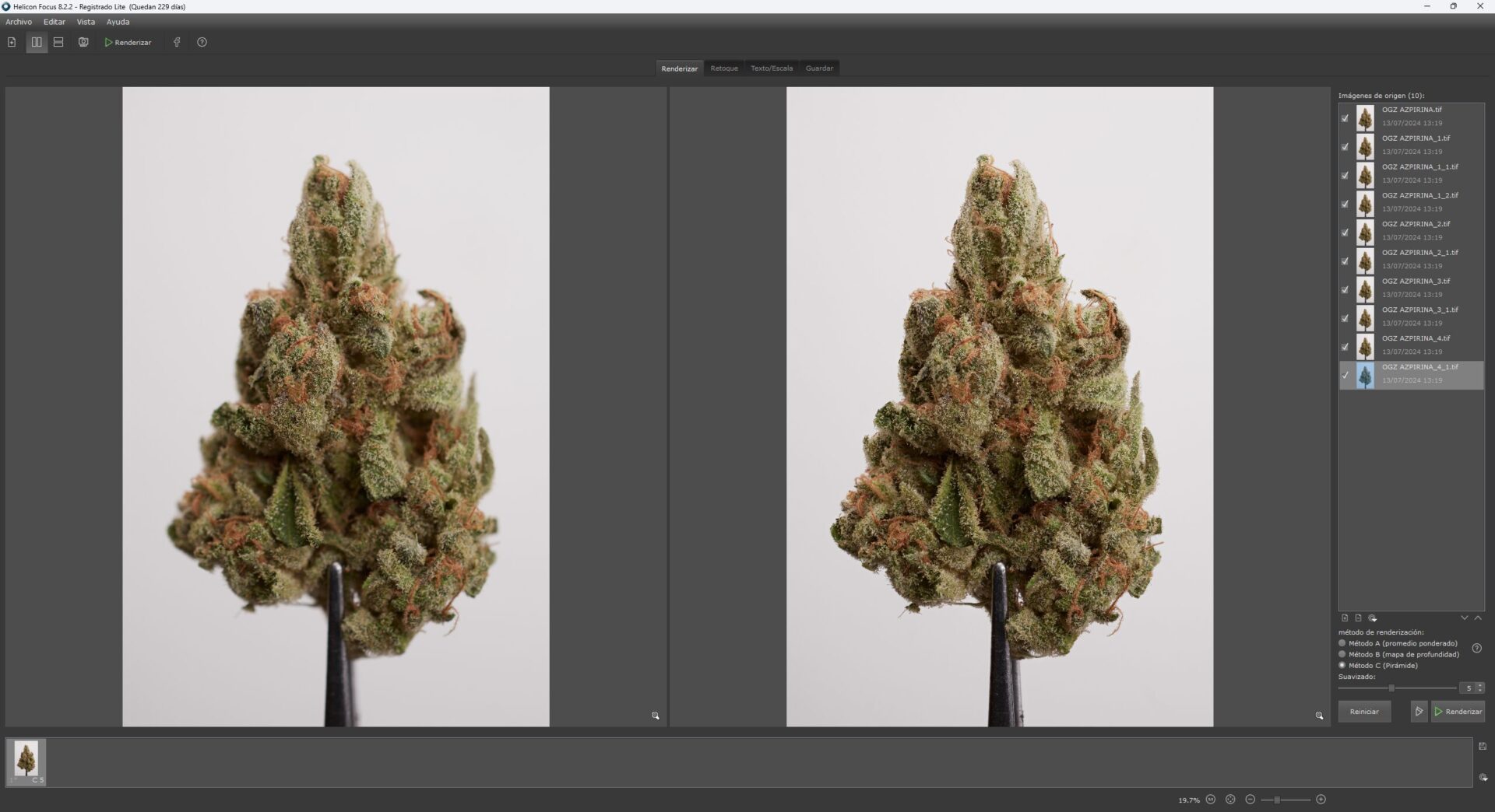 Helicon Focus, programa para generar focus stacking utilizado por 1kwords para fotografia de cannabis