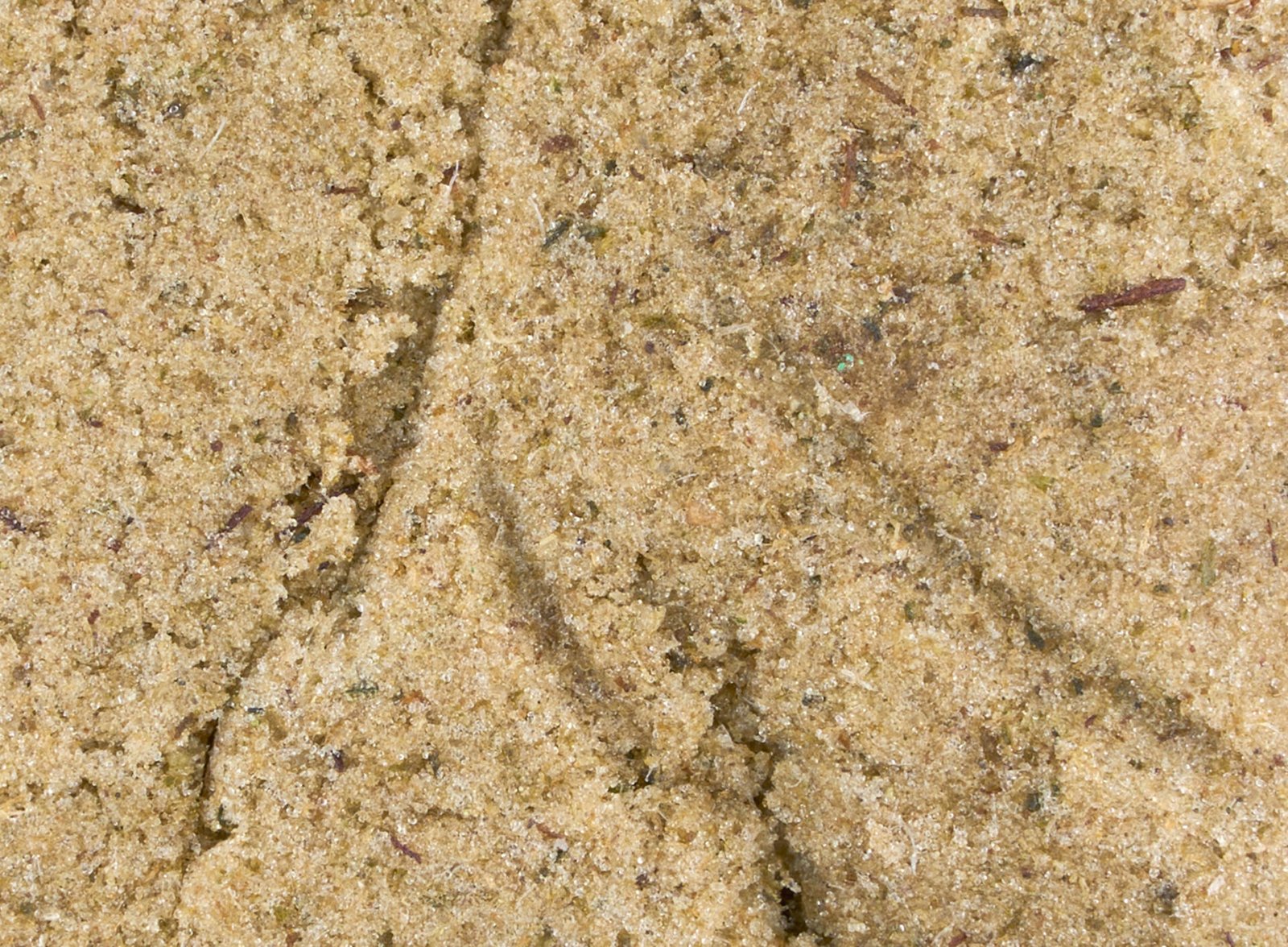 fotografia-cannabis-florcbd-blonde-20